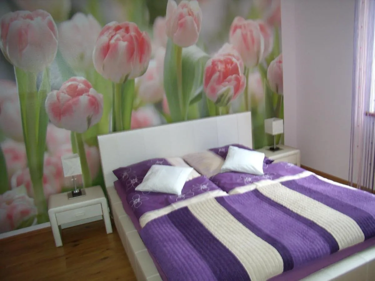 Apartament Nad Lomniczka カルパッチ 0*,  ポーランド